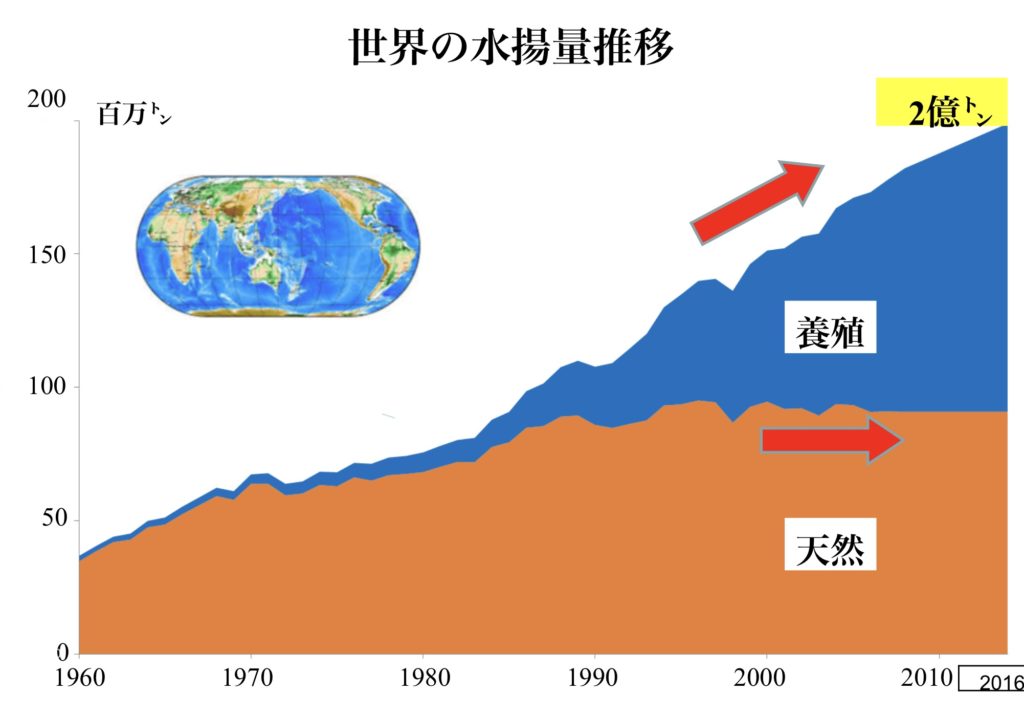 世界と日本の魚の状態を比較してみた 魚が消えていく本当の理由