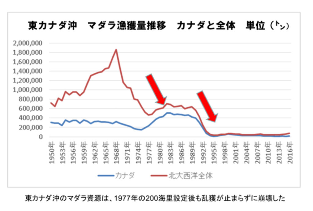 8月, 2021 - 魚が消えていく本当の理由