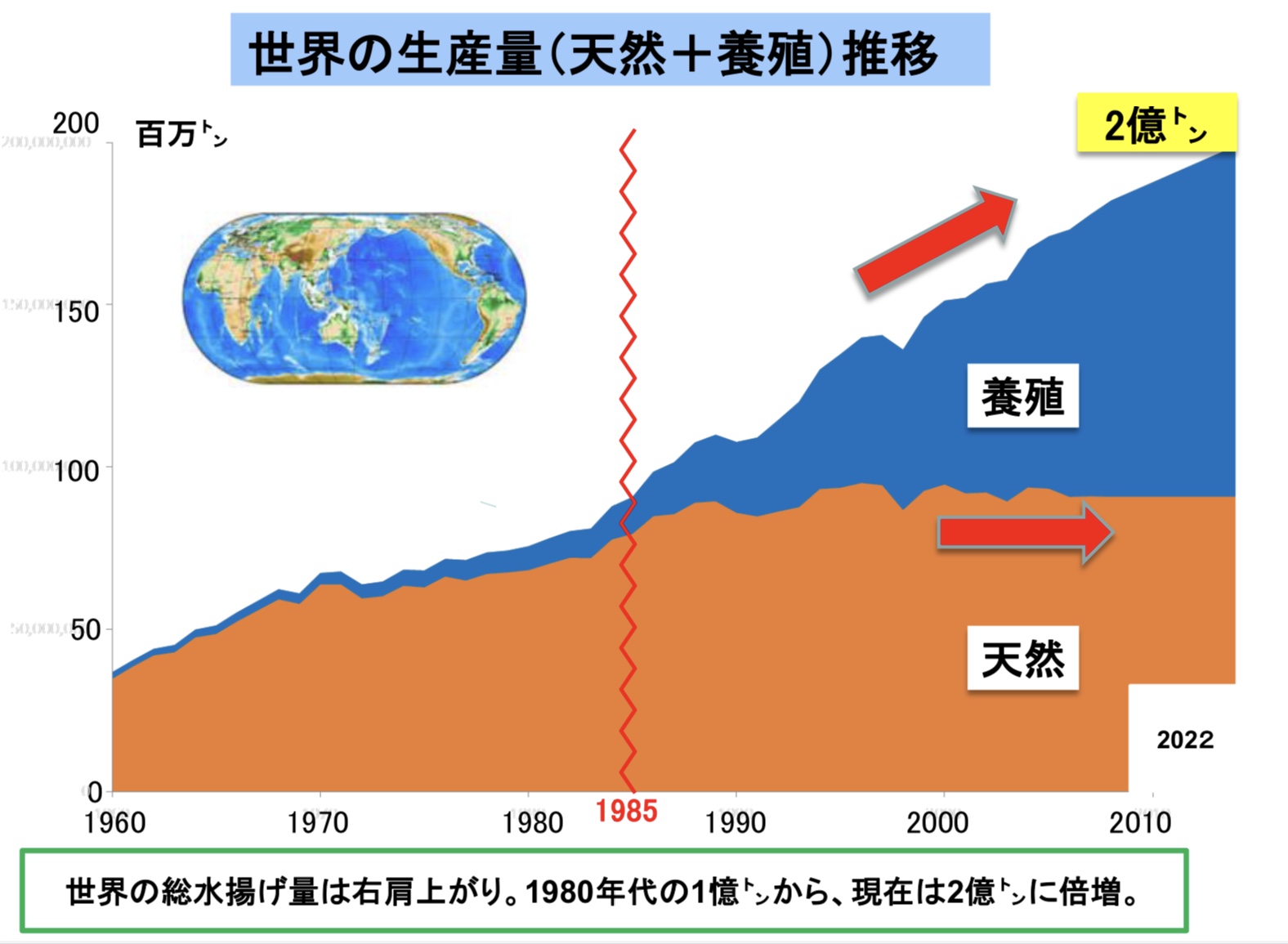 世界と日本の魚の状態を比較してみた - 魚が消えていく本当の理由